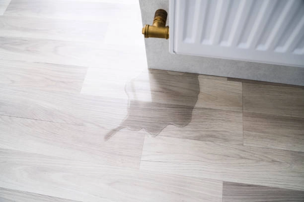 How To Prevent Water Damage To Flooring With Proper Plumbing Richmond CA